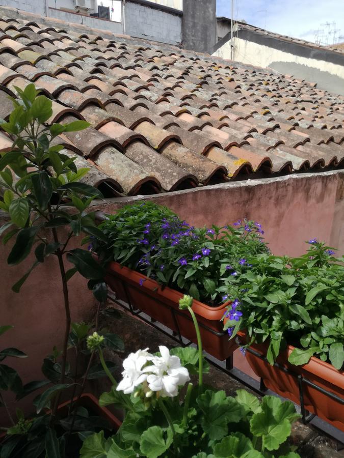 Altevolte Rooms Catânia Exterior foto